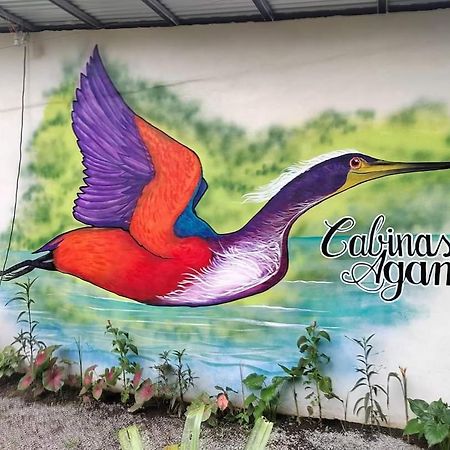 Cabinas Agamy Тортугеро Екстер'єр фото