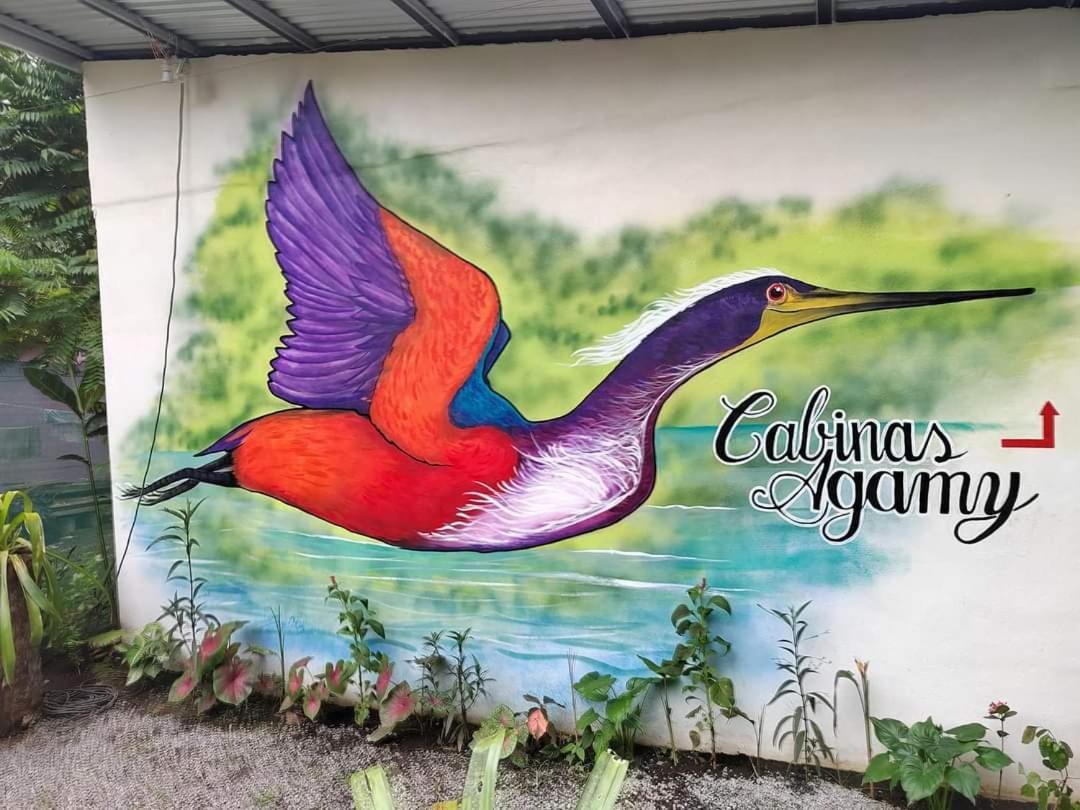 Cabinas Agamy Тортугеро Екстер'єр фото